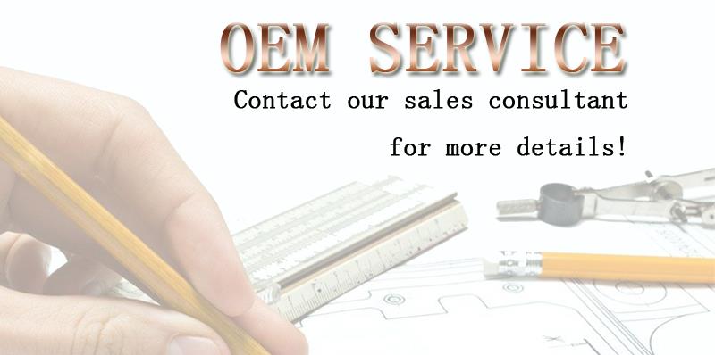 OEM Zinc Plated Electronic Tiny Screw M1