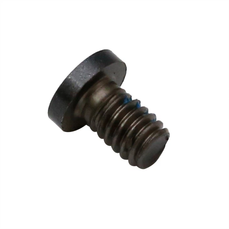 Small torx black micro screws