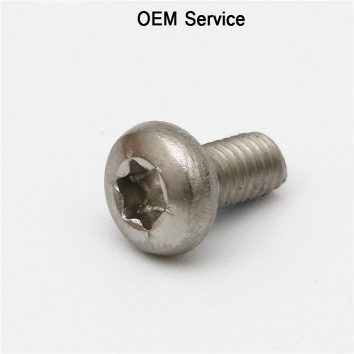 Pan Head Torx Screw Small Screw Anti-loosing
