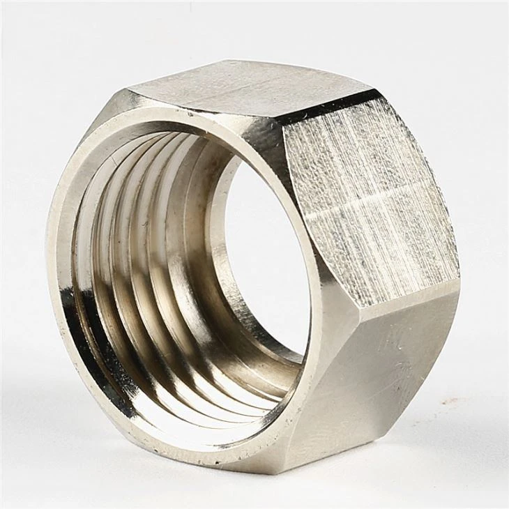 Stainless Steel Plating Hollow Hex Nut