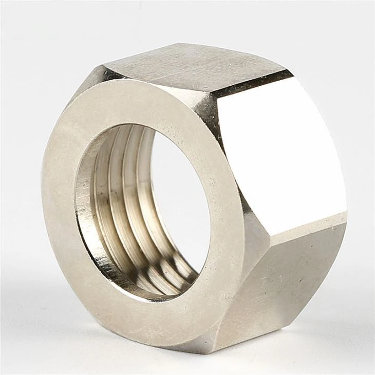 Stainless Steel Plating Hollow Hex Nut